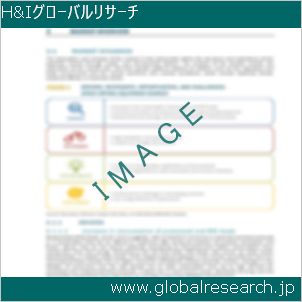 グローバルリサーチ調査レポートのイメージ